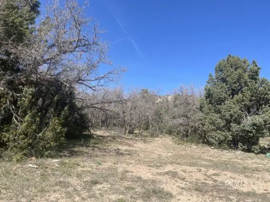 379 Pine Cone Ln, Duck Creek Village, UT 84762 - #3