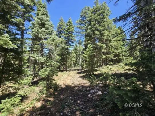 855 W Big Horn Cir, Duck Creek Village, UT 84762 - #2