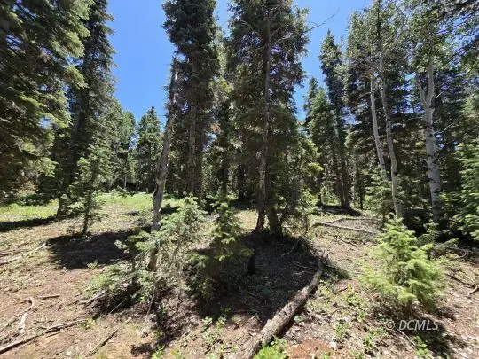 845 W Big Horn Cir, Duck Creek Village, UT 84762 - #2