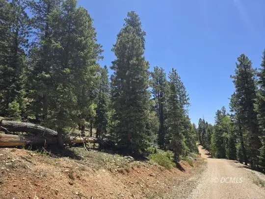 55 S Silver Spruce Dr, Duck Creek Village, UT 84762 - #1