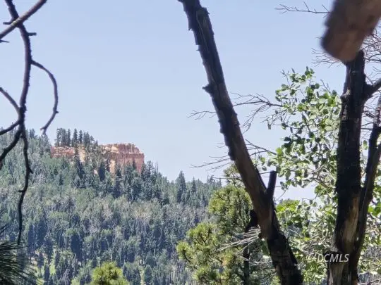 55 S Silver Spruce Dr, Duck Creek Village, UT 84762 - #2