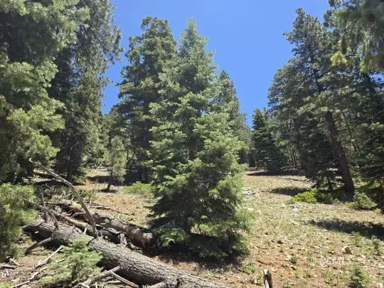 55 S Silver Spruce Dr, Duck Creek Village, UT 84762 - #3