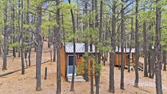 1170 N Ponderosa Dr, Duck Creek Village, UT 84762