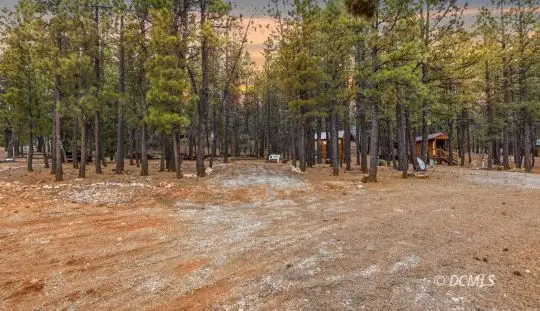 1170 N Ponderosa Dr, Duck Creek Village, UT 84762 - #3