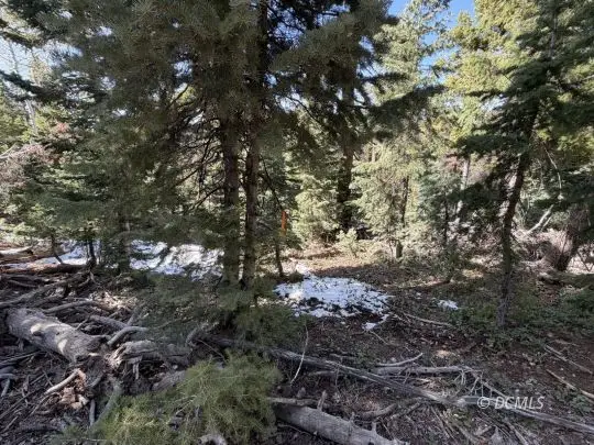 Big Horn, Duck Creek Village, UT 84762 - #3