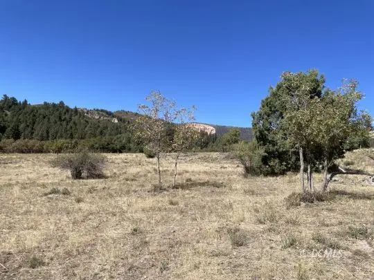 257 N Gobbler Lp, Duck Creek Village, UT 84762