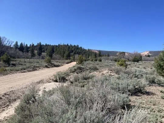 257 N Gobbler Lp, Duck Creek Village, UT 84762 - #2