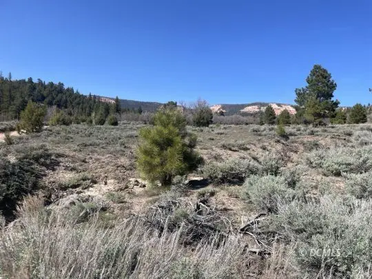 257 N Gobbler Lp, Duck Creek Village, UT 84762 - #3