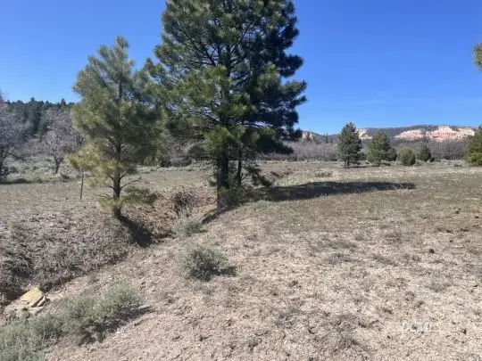 258 N Gobbler Lp, Duck Creek Village, UT 84762