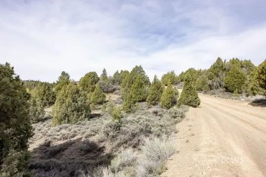 Cree Way, Alton, UT 84710 - #3