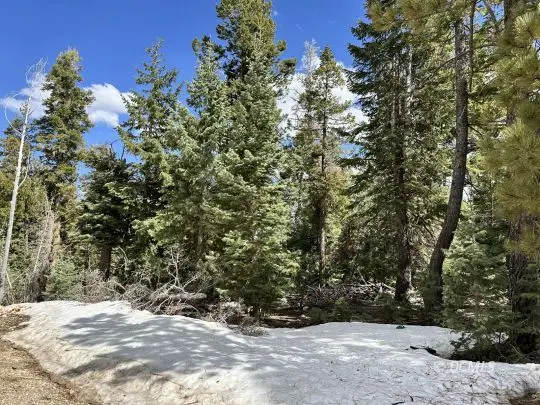 310 E Quaking Aspen Dr, Duck Creek Village, UT 84762 - #2