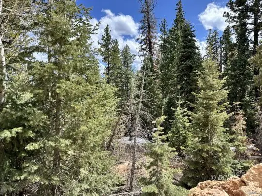 310 E Quaking Aspen Dr, Duck Creek Village, UT 84762 - #3