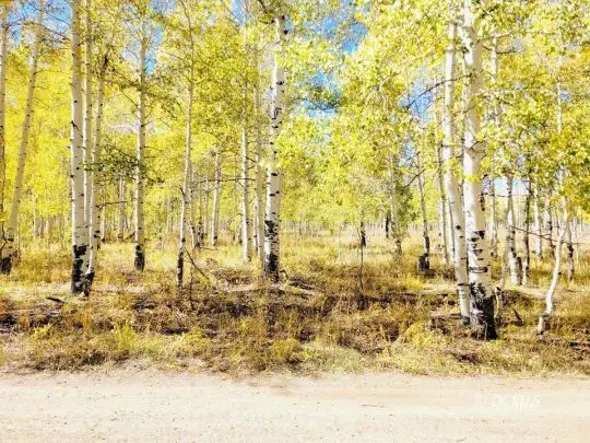 4484 S 2275 E, Cedar City, UT 84720 - #1