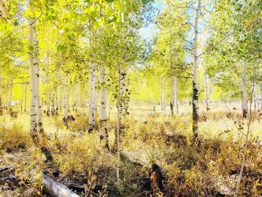 4484 S 2275 E, Cedar City, UT 84720 - #2