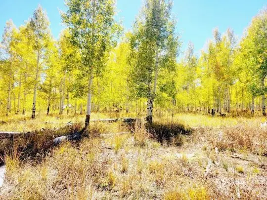 4484 S 2275 E, Cedar City, UT 84720 - #3