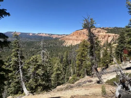 1470 W View Dr, Duck Creek Village, UT 84762 - #1