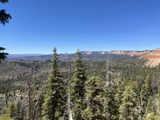 1470 W View Dr, Duck Creek Village, UT 84762 - #3