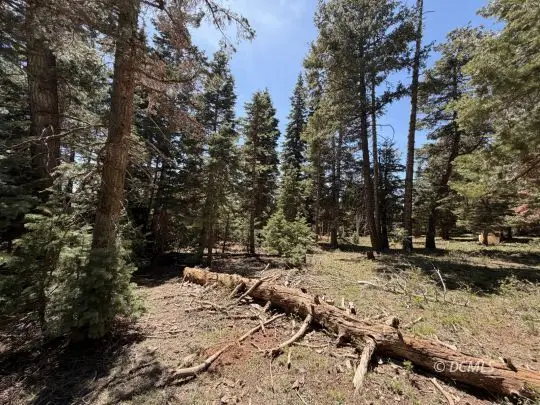 79 W Berry Lp, Duck Creek Village, UT 84762 - #1