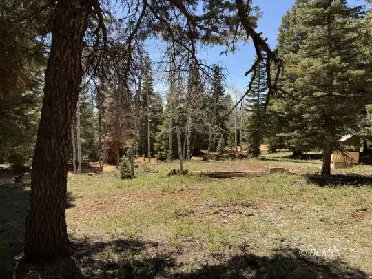 79 W Berry Lp, Duck Creek Village, UT 84762 - #3