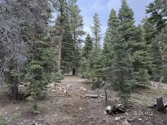 59 W Berry Lp, Duck Creek Village, UT 84762
