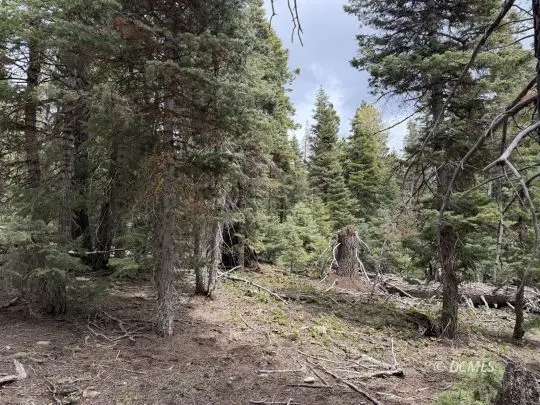 59 W Berry Lp, Duck Creek Village, UT 84762 - #2