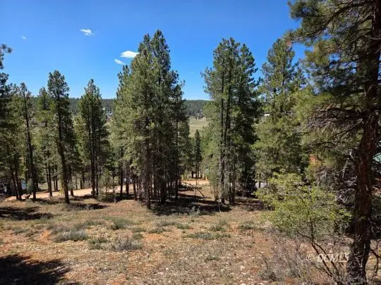 2175 E Sleepy Meadow Ln, Duck Creek Village, UT 84762 - #3