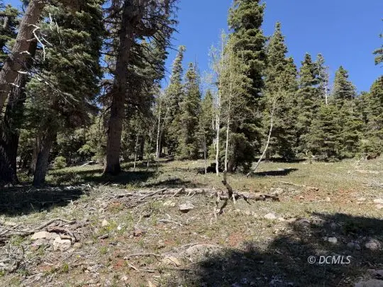 5760 W Mountain Lion Dr, Duck Creek Village, UT 84762