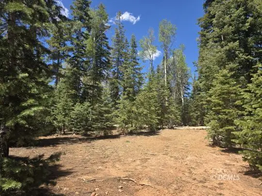650 E Cedar Mountain Dr, Duck Creek Village, UT 84762