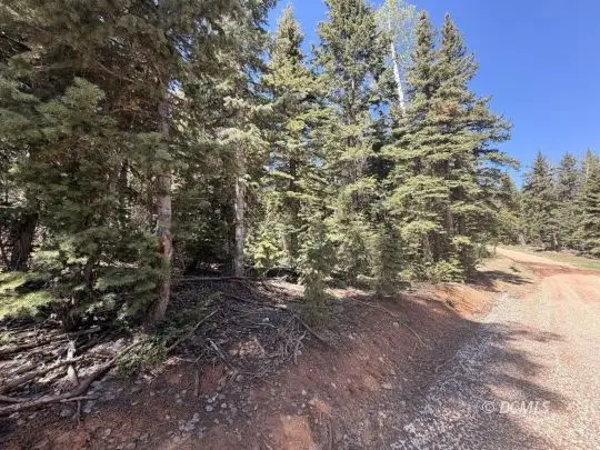 1025 W Twisted Trail, Duck Creek Village, UT 84762 - #1