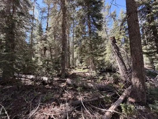 1025 W Twisted Trail, Duck Creek Village, UT 84762 - #2