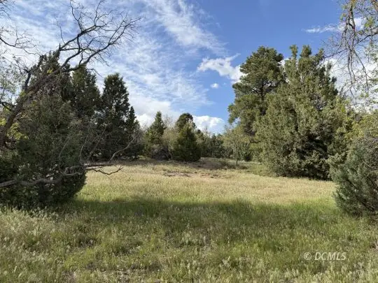 318 W Sunflower Cir, Duck Creek Village, UT 84762 - #2
