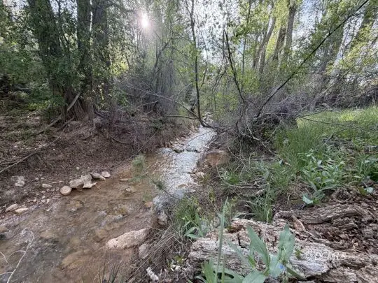 316 W Sunflower Cir, Duck Creek Village, UT 84762 - #1