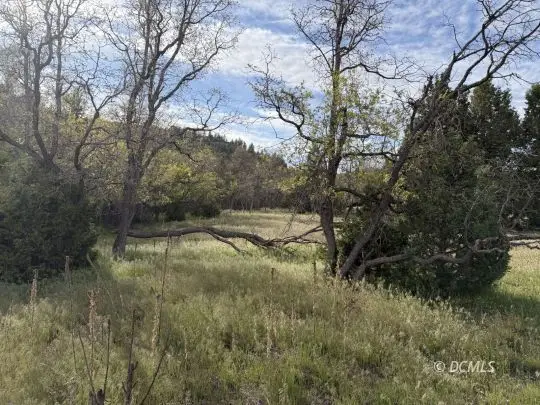 316 W Sunflower Cir, Duck Creek Village, UT 84762 - #2