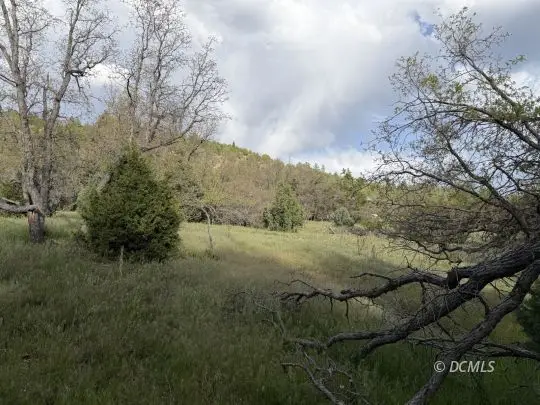 316 W Sunflower Cir, Duck Creek Village, UT 84762 - #3
