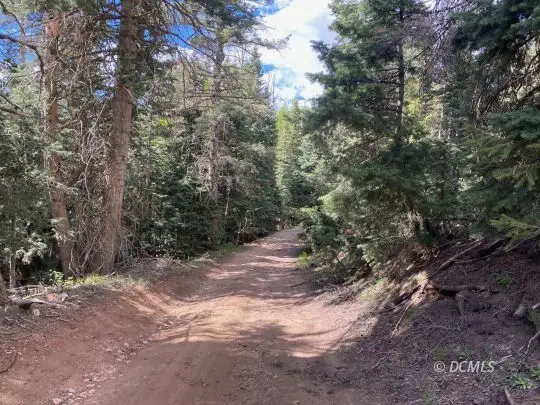 W North Fork, Duck Creek Village, UT 84762 - #3