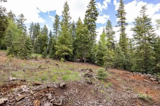985 E Bonanza Rd, Duck Creek Village, UT 84762 - #1