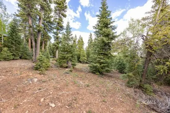 985 E Bonanza Rd, Duck Creek Village, UT 84762 - #2
