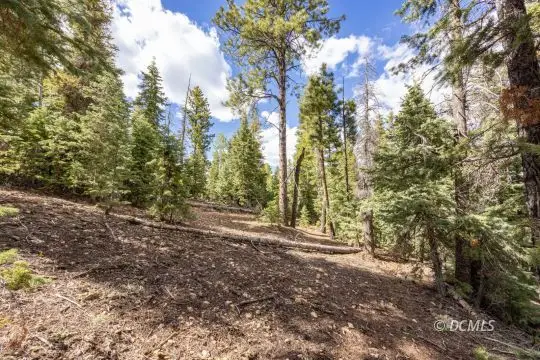 955 E Bonanza Rd, Duck Creek Village, UT 84762
