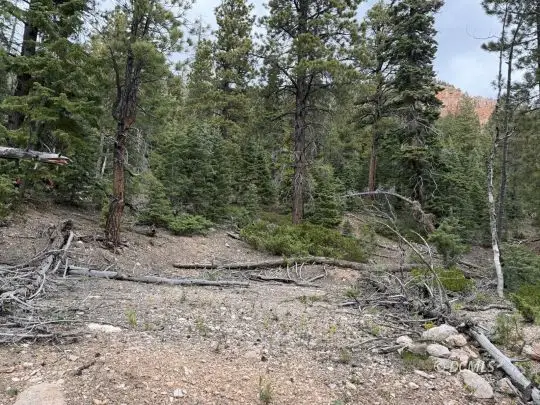 16 W Bitterberry Cir, Duck Creek Village, UT 84762 - #1