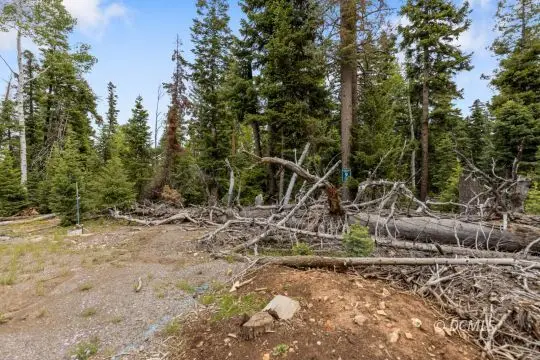 Ridgeline Ct #9, Duck Creek Village, UT 84762 - #3