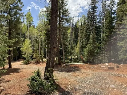 880 W Bear Track Dr, Duck Creek Village, UT 84762 - #3