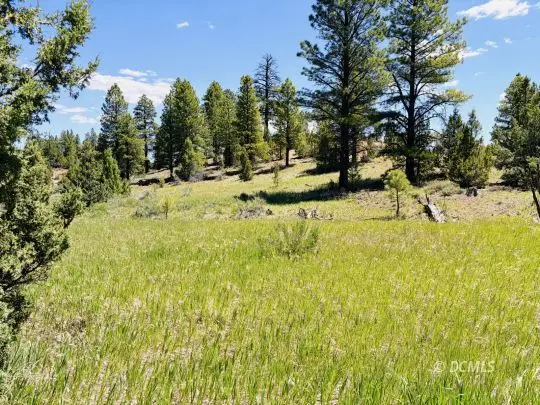 2806 N Dead Horse Loop, Duck Creek Village, UT 84762