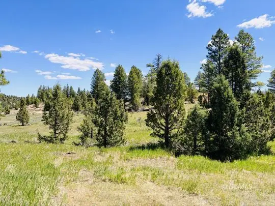 2806 N Dead Horse Loop, Duck Creek Village, UT 84762 - #2