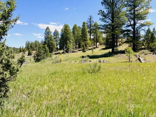 2806 N Dead Horse Loop, Duck Creek Village, UT 84762 - #3