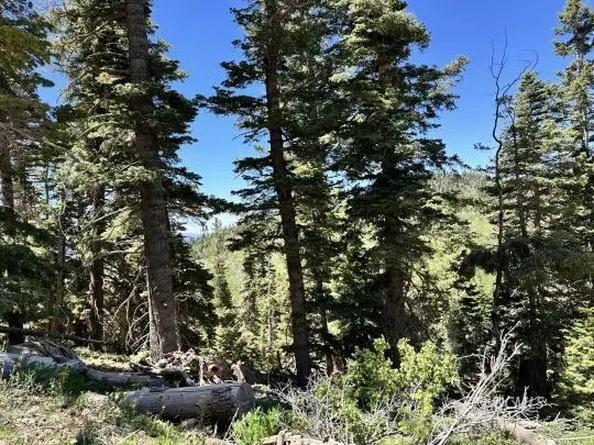 W North Fork Rd, Duck Creek Village, UT 84762 - #1