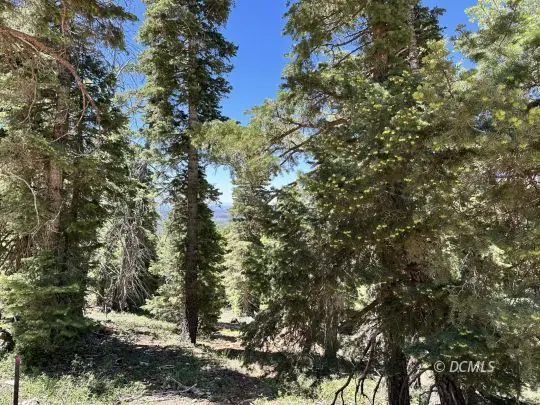 W North Fork Rd, Duck Creek Village, UT 84762 - #2