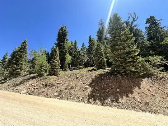 W North Fork Rd, Duck Creek Village, UT 84762 - #3