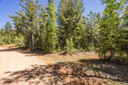 1365 W Twisted Trail, Duck Creek Village, UT 84762 - #2