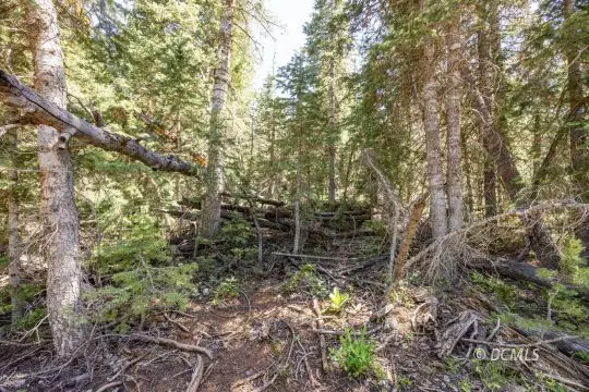 1365 W Twisted Trail, Duck Creek Village, UT 84762 - #3