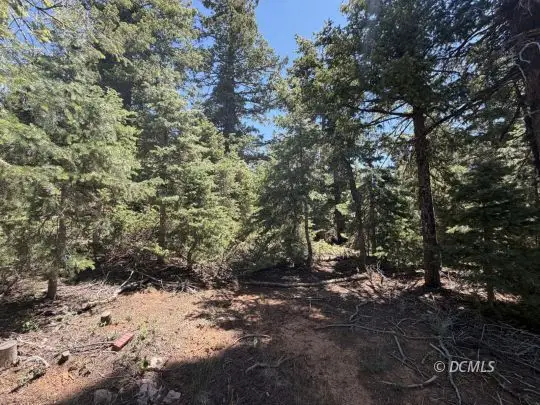 1185 W Cascade Dr, Duck Creek Village, UT 84762 - #2